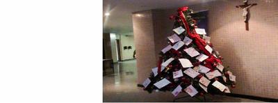 Imagem: Árvore de Natal tem cartões com nomes e pedidos das crianças
