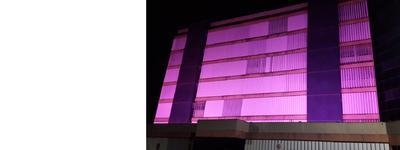 Outubro Rosa JFAL Imagem: Outubro Rosa JFAL