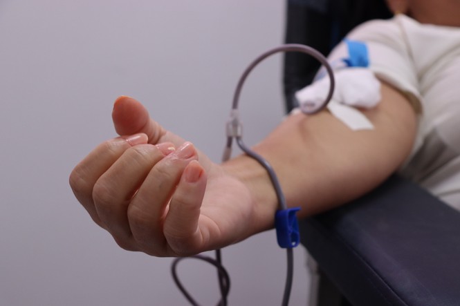 Nathan Araujo (estagiário) / Secom JFAL